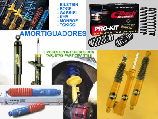 Alambrado bonsai olivo olmo